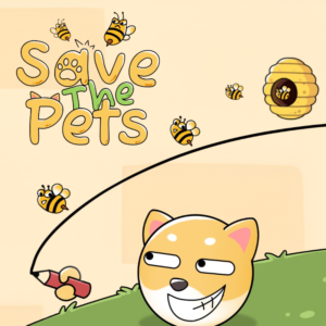 Save The Pets: A Practical Guide to Spatial reasoning