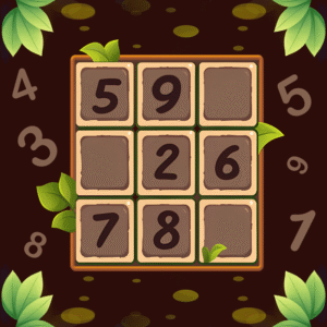 Sudoku – Number Games